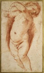 Un putto, 1620 - 1624